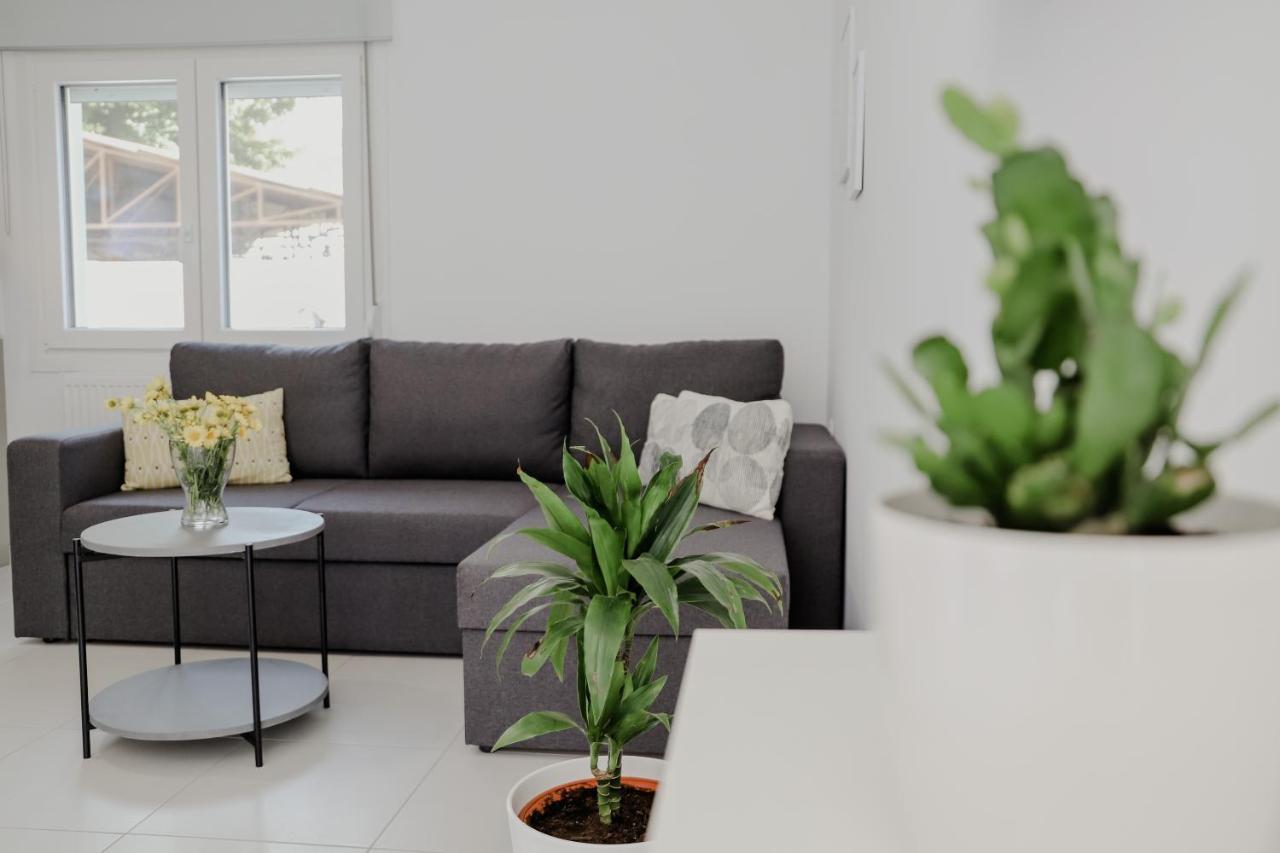Apartmán The Olive House Néa Péramos Exteriér fotografie